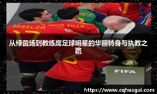从绿茵场到教练席足球明星的华丽转身与执教之路